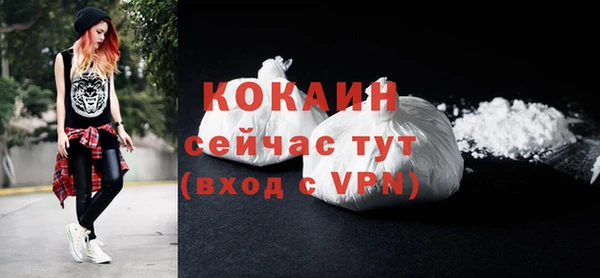твердый Арсеньев