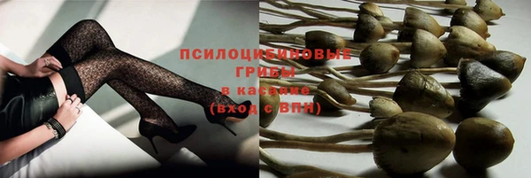 твердый Арсеньев