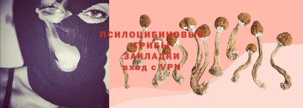 твердый Арсеньев