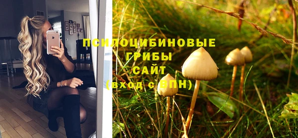 МДПВ Аркадак
