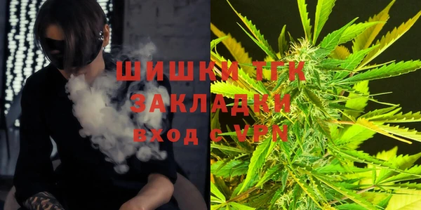 твердый Арсеньев