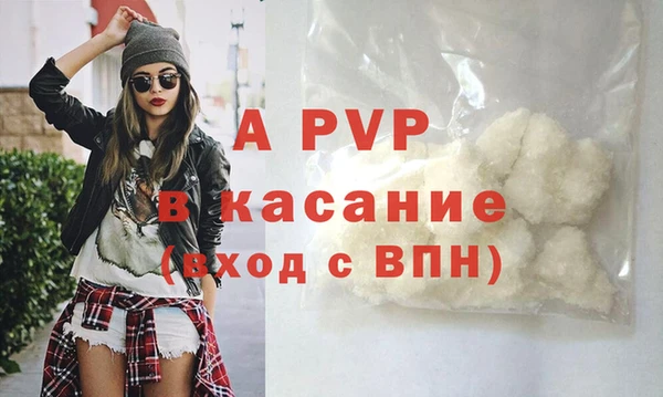 твердый Арсеньев